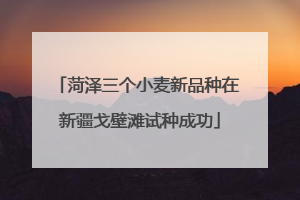 菏泽三个小麦新品种在新疆戈壁滩试种成功